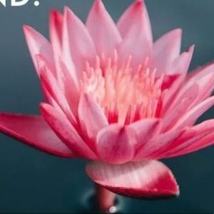 Meet your Posher, Nicola